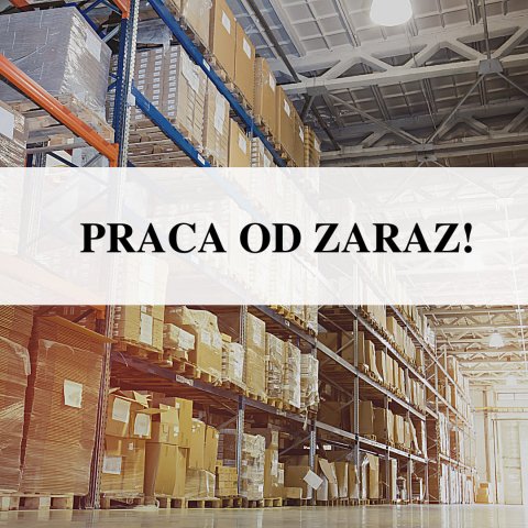 Magazynier picker Rossum- nie ma wiekówki