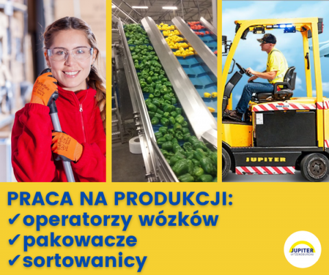 Pracownicy magazynowi/produkcyjni OD ZARAZ