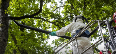 Pracownik zieleni miejskiej