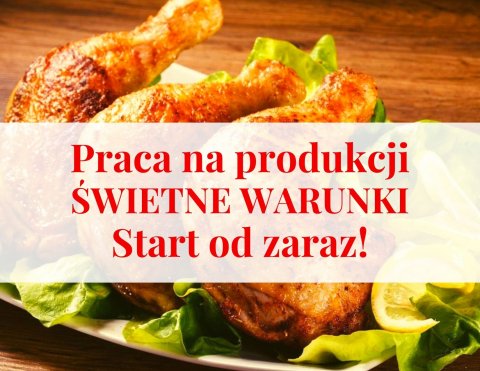 Praca na produkcji OK. 350€ tyg. PRZEJAZD KREDYTOWANY