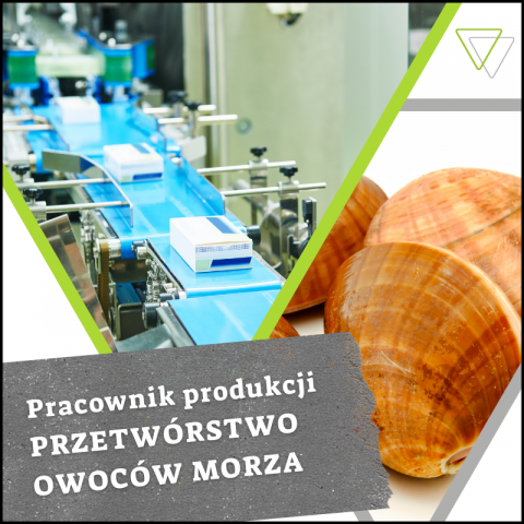 PRODUKCJA | owoce morza | dodatek do zakwaterowania