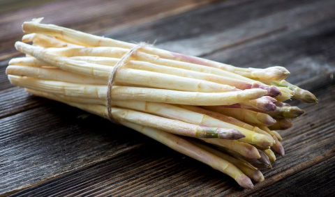 Zbior szparagow na polu